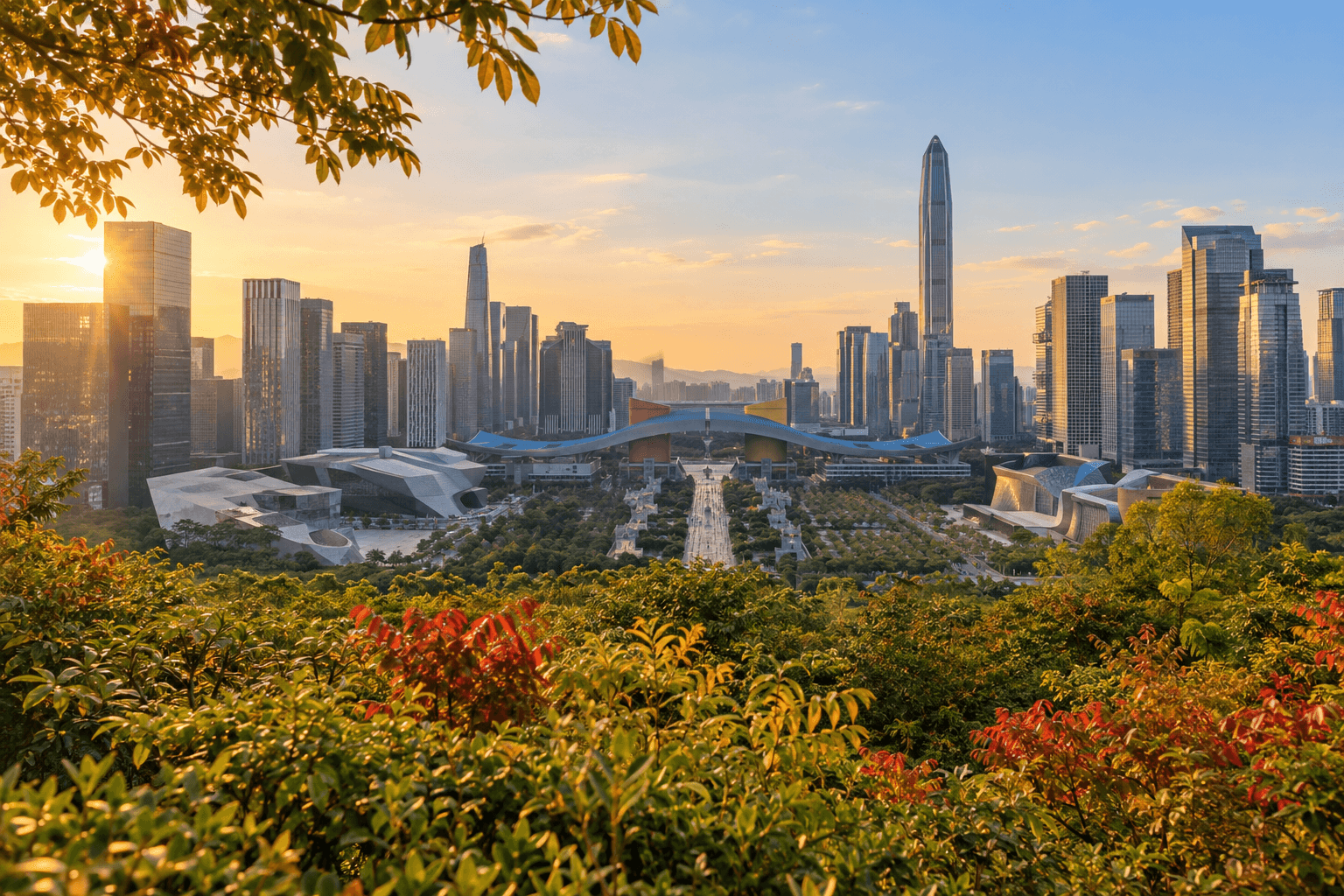 深圳秋天主题封面：深圳秋日总览：山海城市的明亮季节
